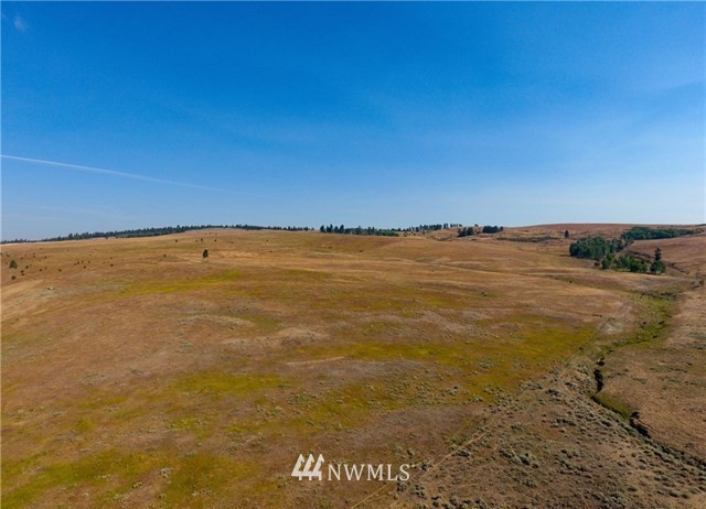 0 Tbd Rise Road Oroville, WA 98844 - Photo 29 of 29 Gallery Image 29