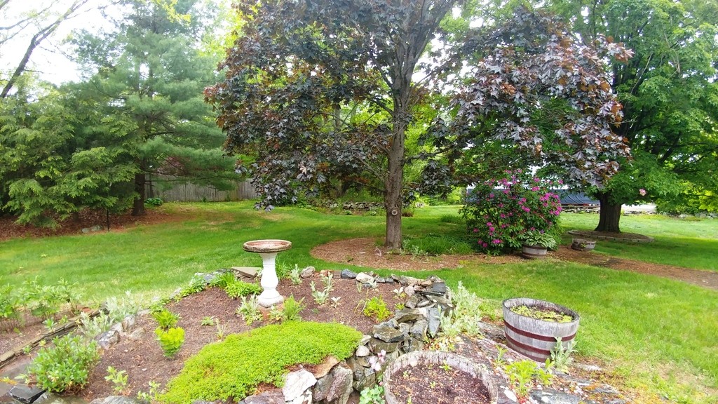 36 Dunbar Road Reading, MA 01867 - Photo 23 of 27 Gallery Image 23
