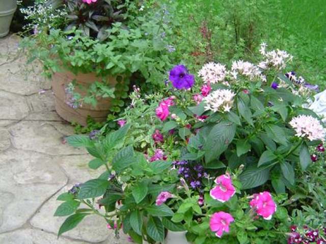 300 Quaker Hill Road Warren, PA 16365 - Photo 26 of 27 Gallery Image 26