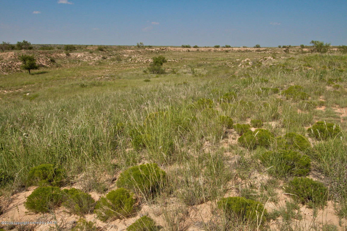 1901 Dowell Road Amarillo, TX 79124 - Photo 49 of 63 View 3