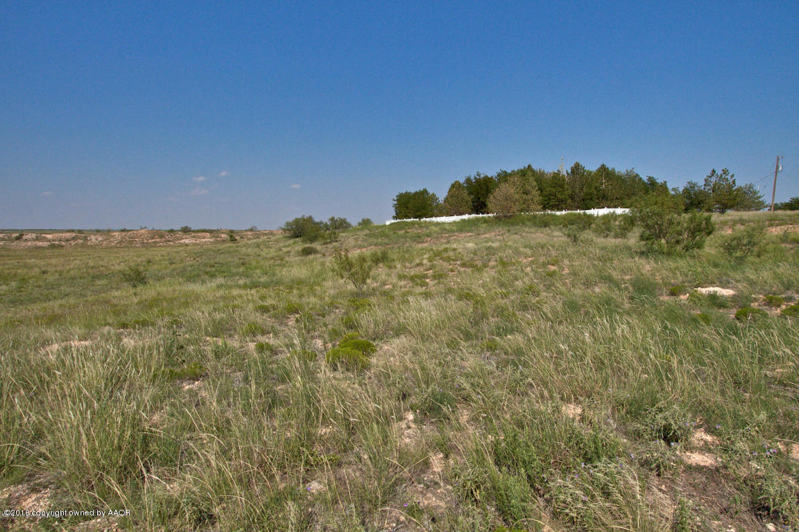 1901 Dowell Road Amarillo, TX 79124 - Photo 50 of 63 View 4