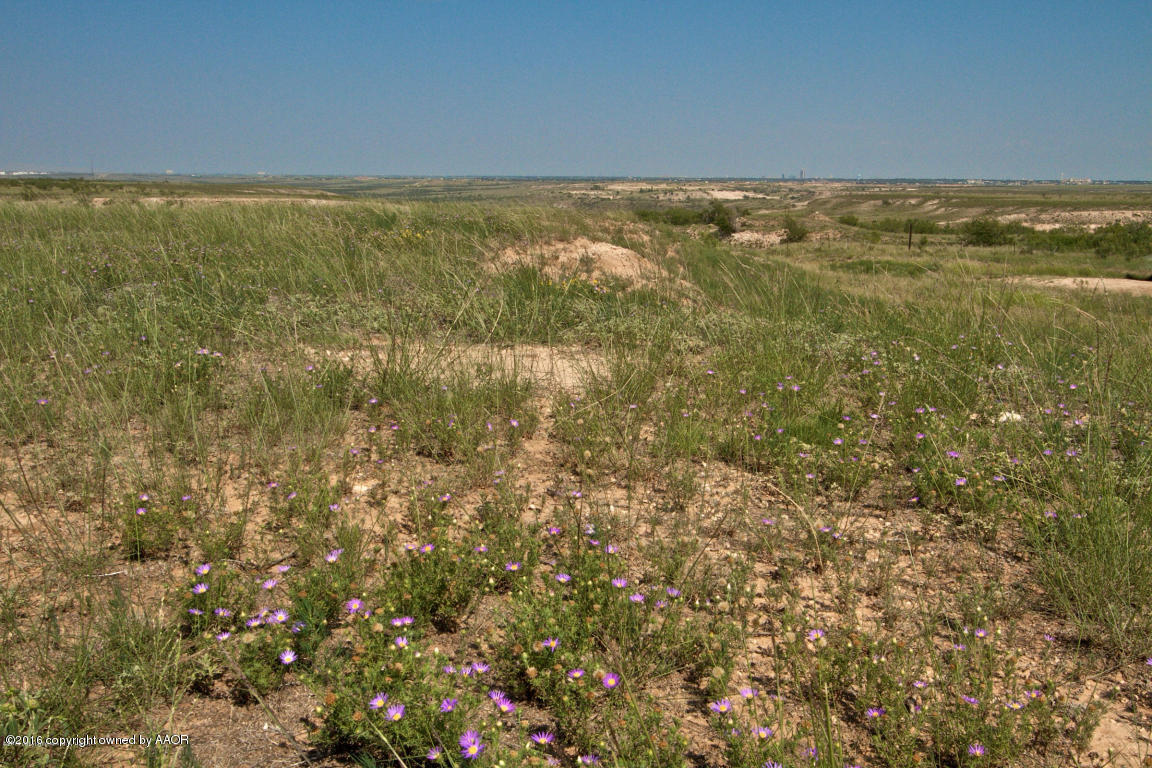 1901 Dowell Road Amarillo, TX 79124 - Photo 53 of 63 View 7