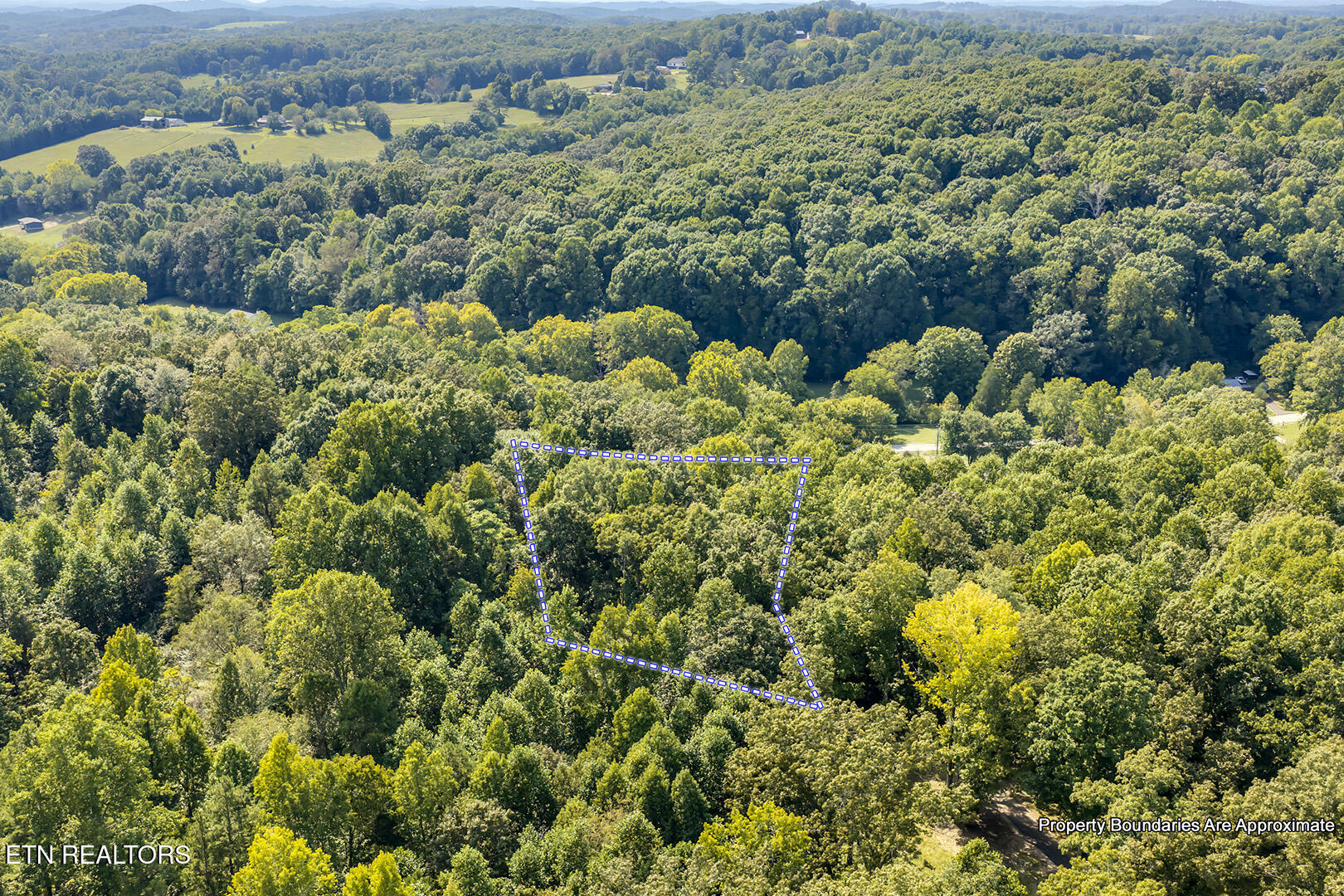 287 Cave Creek Road Loudon, TN 37774 - Photo 56 of 60 56_CaveCreekRoad_287_Birdseye_W