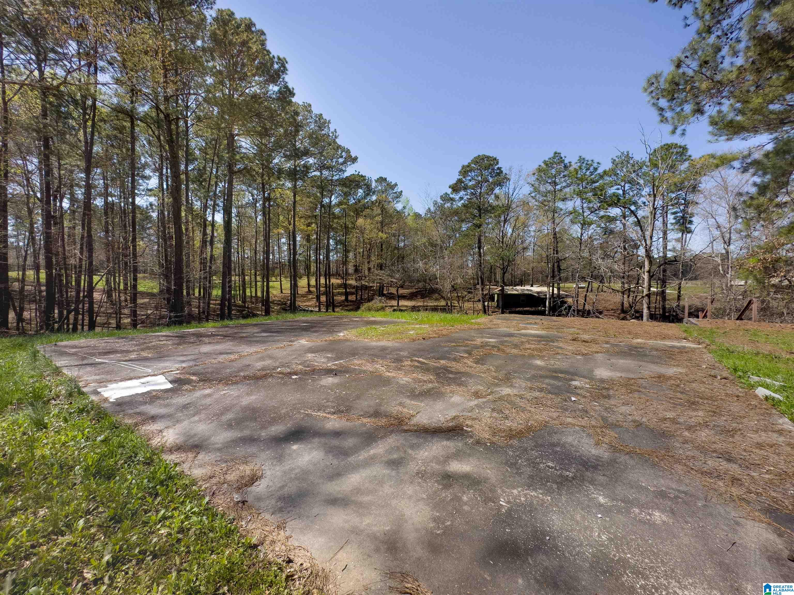 833 County Road, Unit 2 Jemison, AL 35085 - Photo 10 of 15