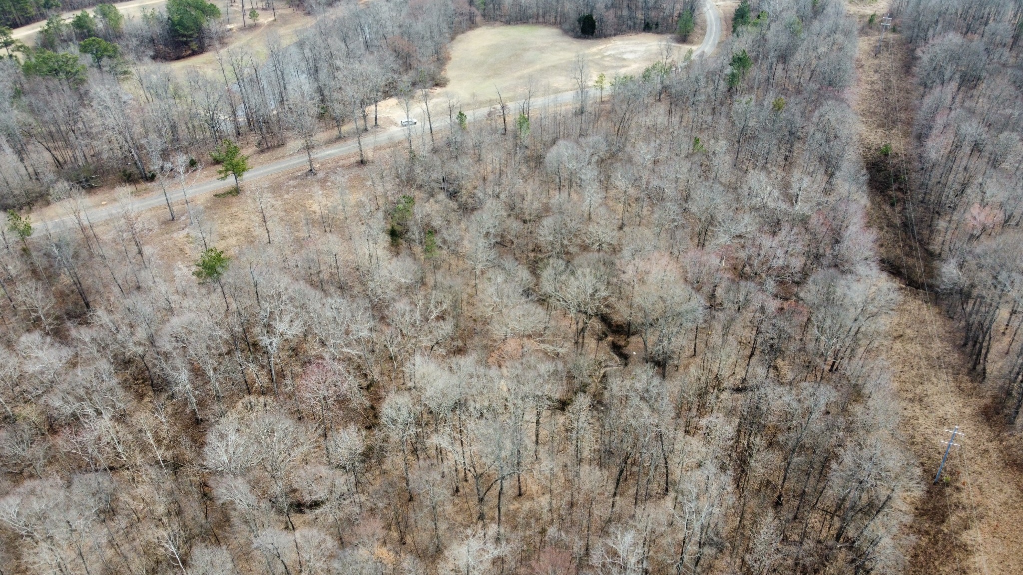 0 St Paul Church Road Huntingdon, TN 38344 - Photo 12 of 20 a view of a dry yard