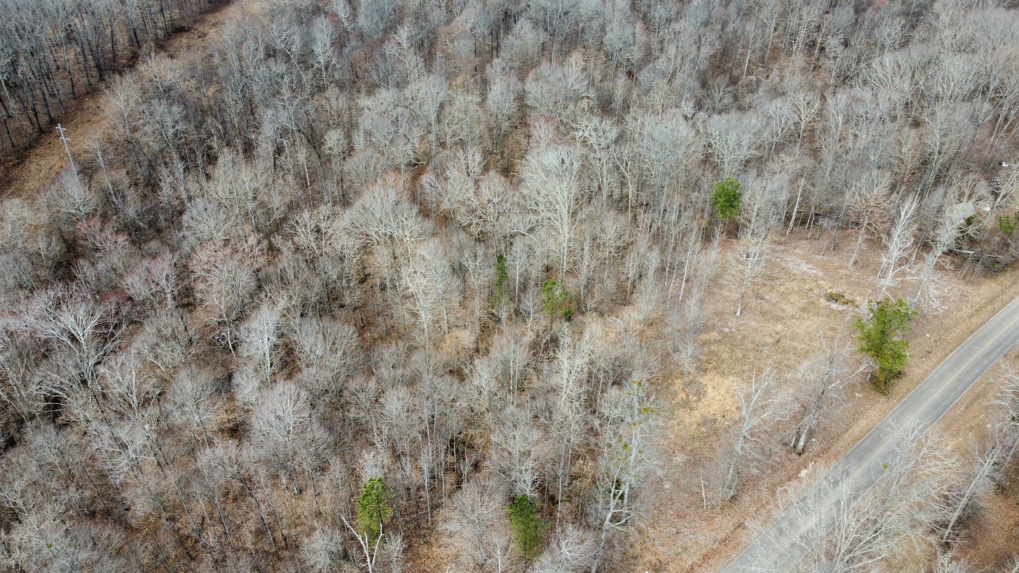 0 St Paul Church Road Huntingdon, TN 38344 - Photo 16 of 20 a view of a dry yard