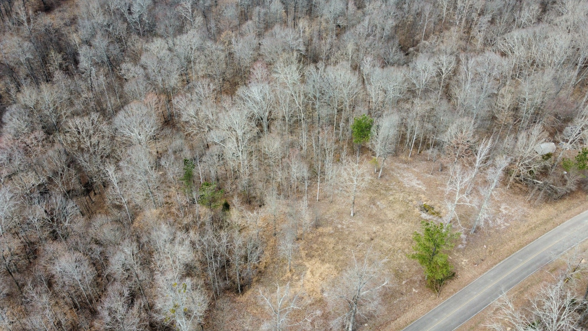0 St Paul Church Road Huntingdon, TN 38344 - Photo 17 of 20 a backyard of a house with lots of green space