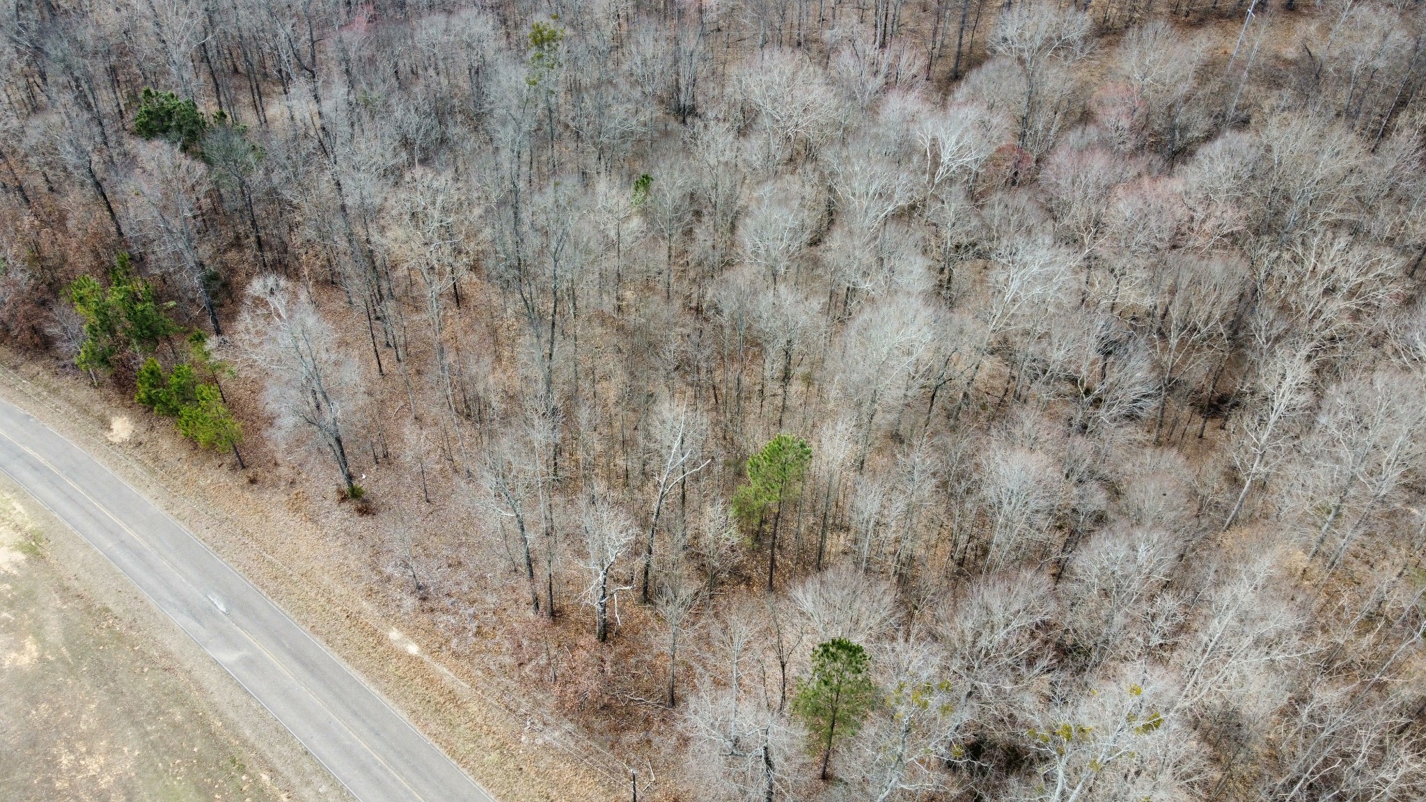 0 St Paul Church Road Huntingdon, TN 38344 - Photo 19 of 20 a view of a dry yard