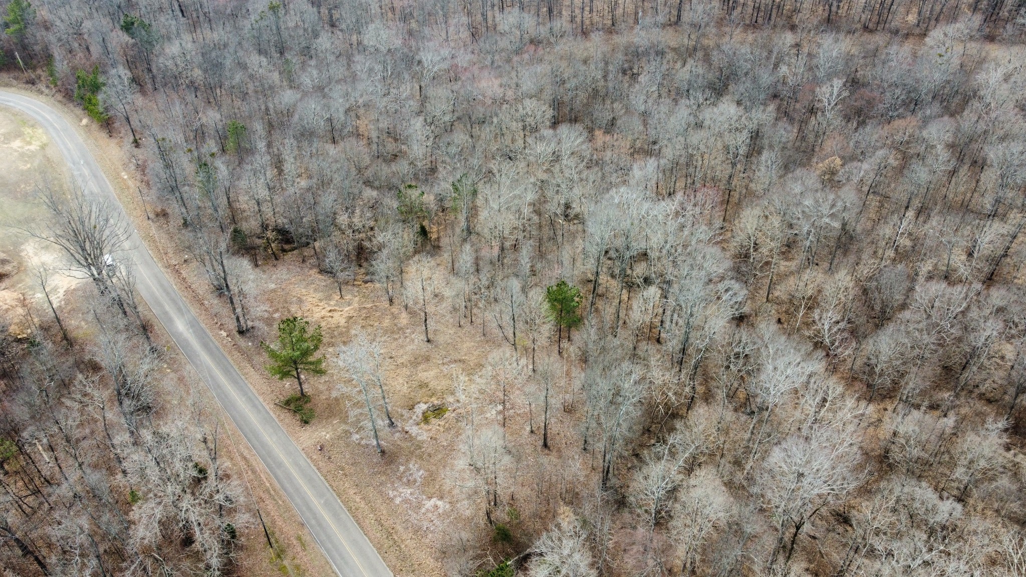 0 St Paul Church Road Huntingdon, TN 38344 - Photo 3 of 20 a view of a dry yard