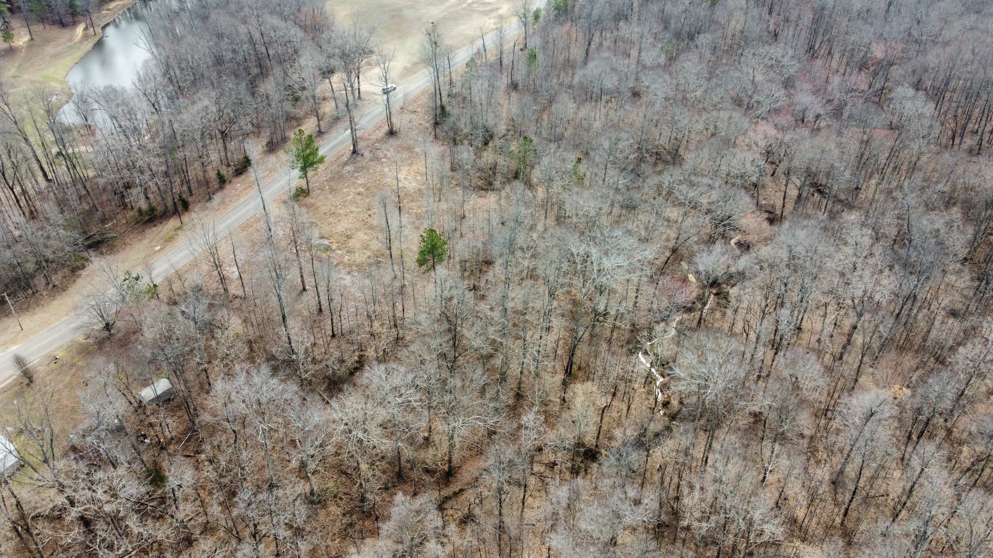 0 St Paul Church Road Huntingdon, TN 38344 - Photo 5 of 20 a view of a forest with a tree