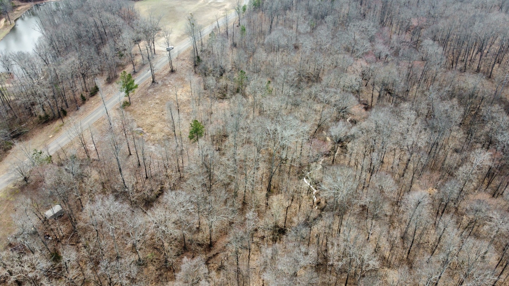 0 St Paul Church Road Huntingdon, TN 38344 - Photo 6 of 20 a view of a dry yard