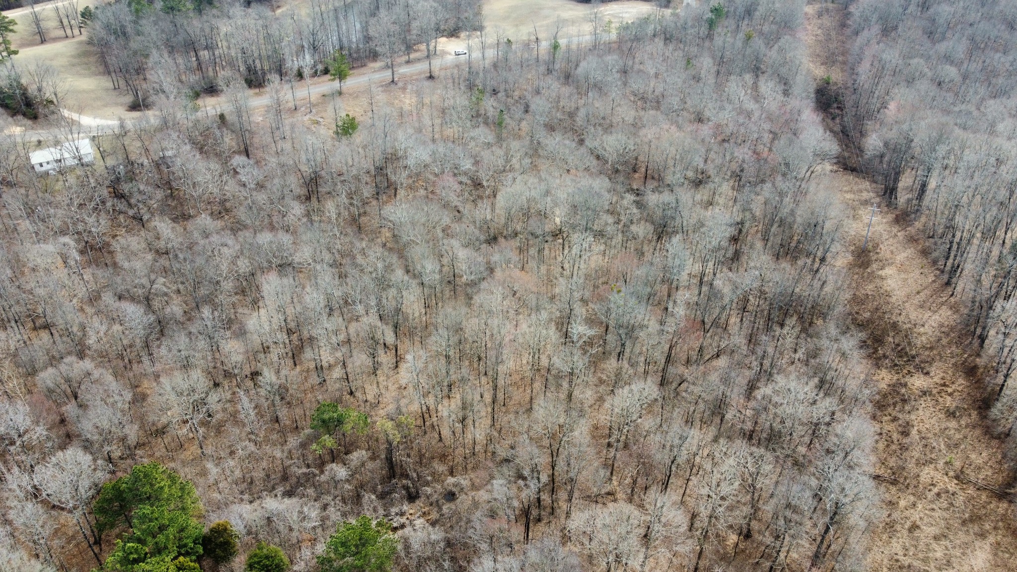 0 St Paul Church Road Huntingdon, TN 38344 - Photo 7 of 20 a view of a dry yard