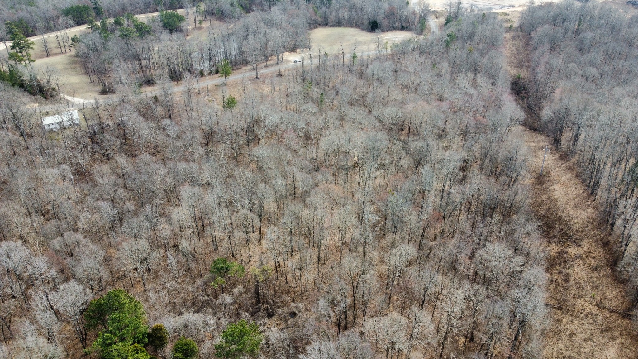 0 St Paul Church Road Huntingdon, TN 38344 - Photo 8 of 20 a view of a dry yard