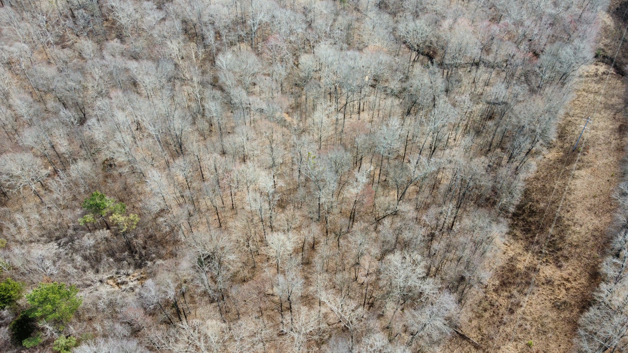 0 St Paul Church Road Huntingdon, TN 38344 - Photo 10 of 20 a close up of a wall with a dry yard