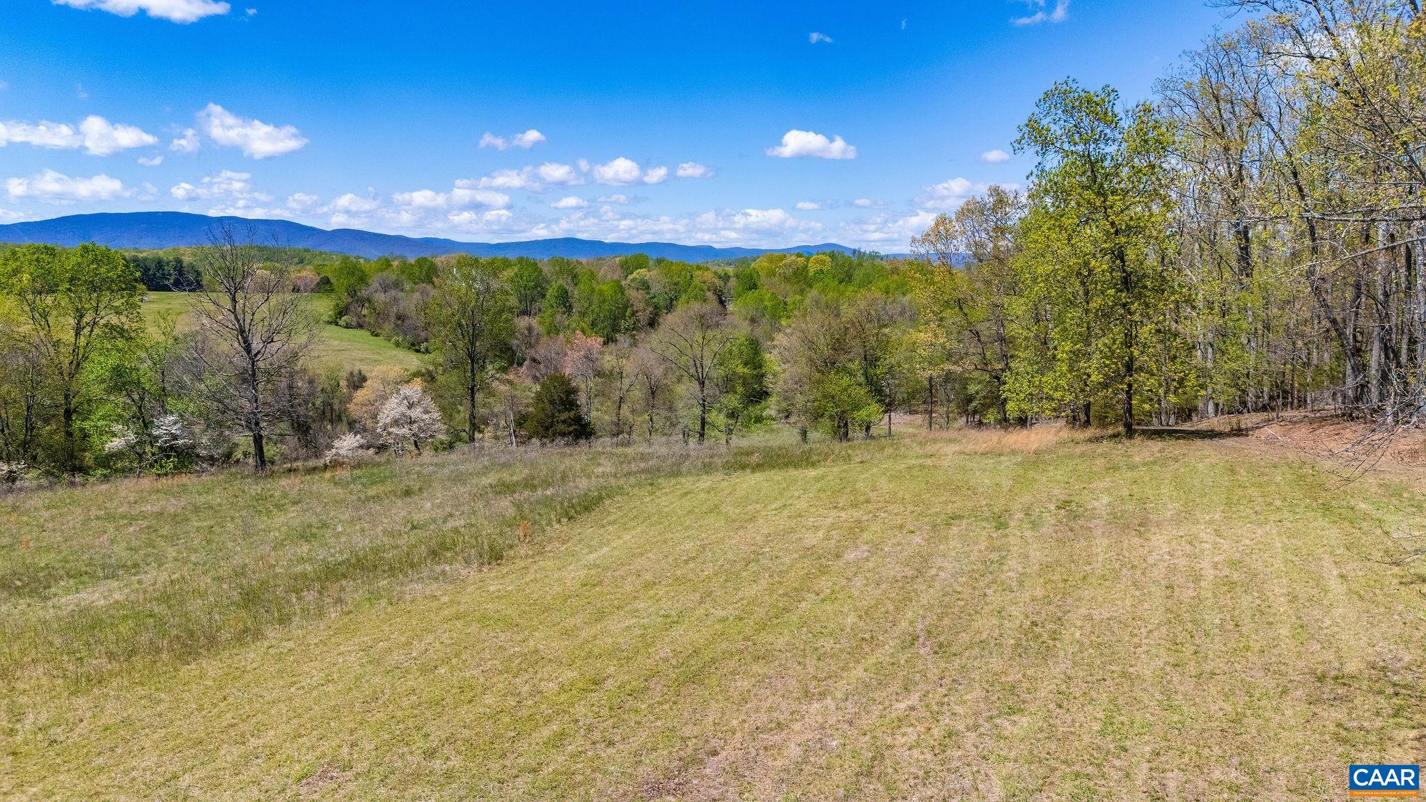 21-acres Tbb Bloomfield Road Charlottesville, VA 22903 - Photo 7 of 12