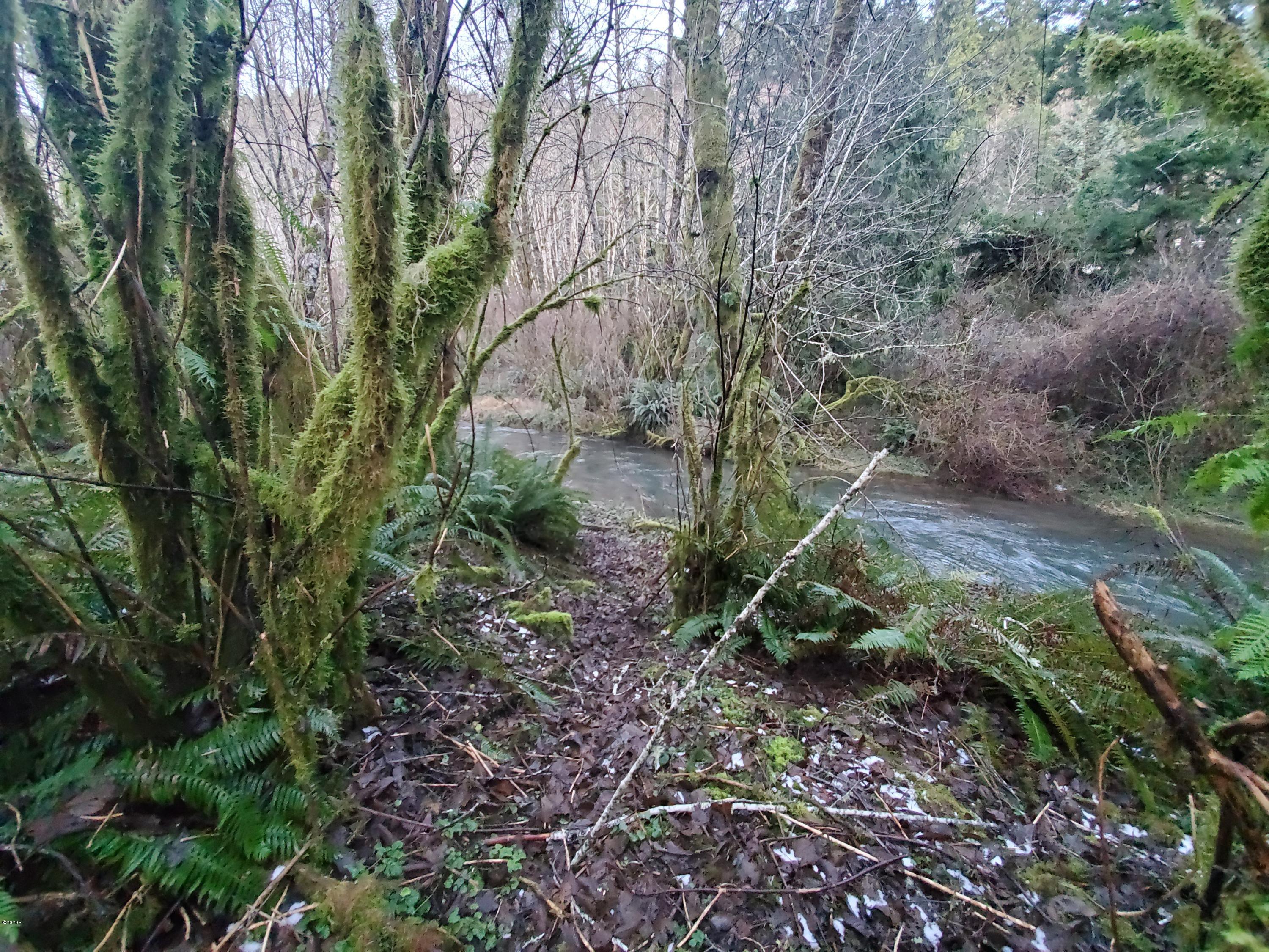 301 North Bear Creek Road Otis, OR 97368 - Photo 2 of 5 creek