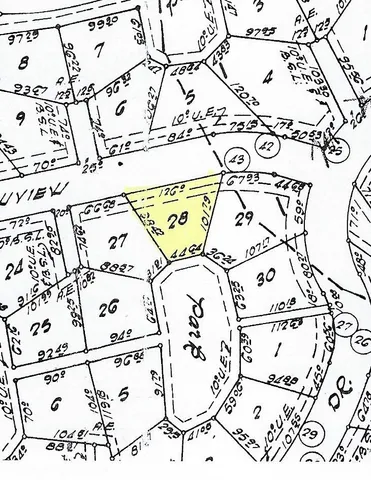 a view of grassy field with trees