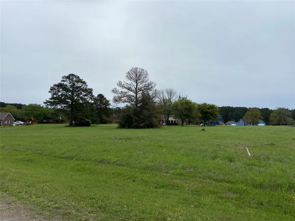 a view of a grassy field with trees