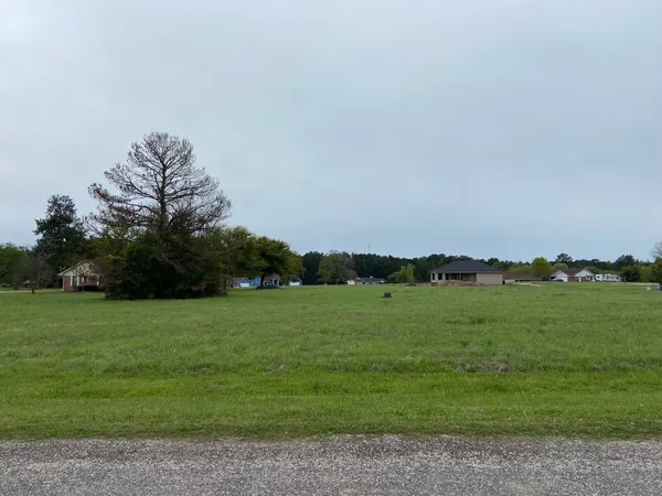 a view of a green field with lots of trees