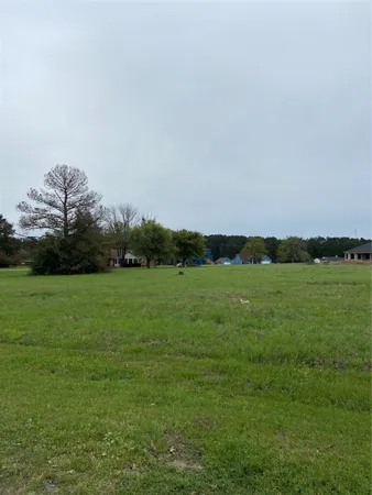 a garden view