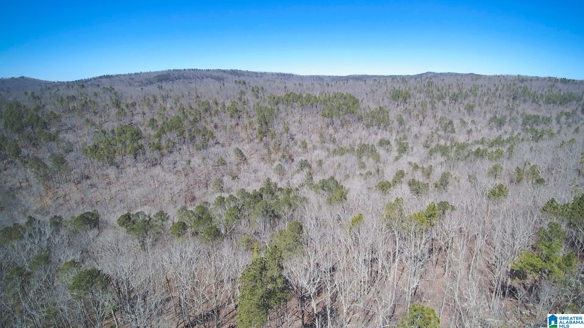 1840 Signal Valley Trail Chelsea, AL 35043 - Photo 5 of 49