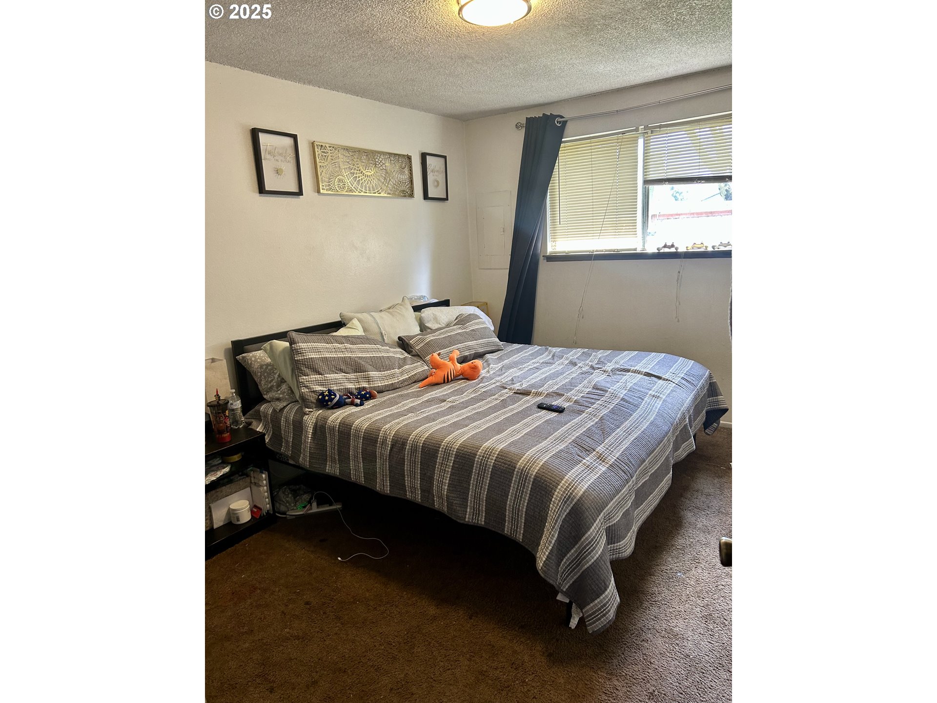 4457 Aster Street Springfield, OR 97478 - Photo 7 of 21