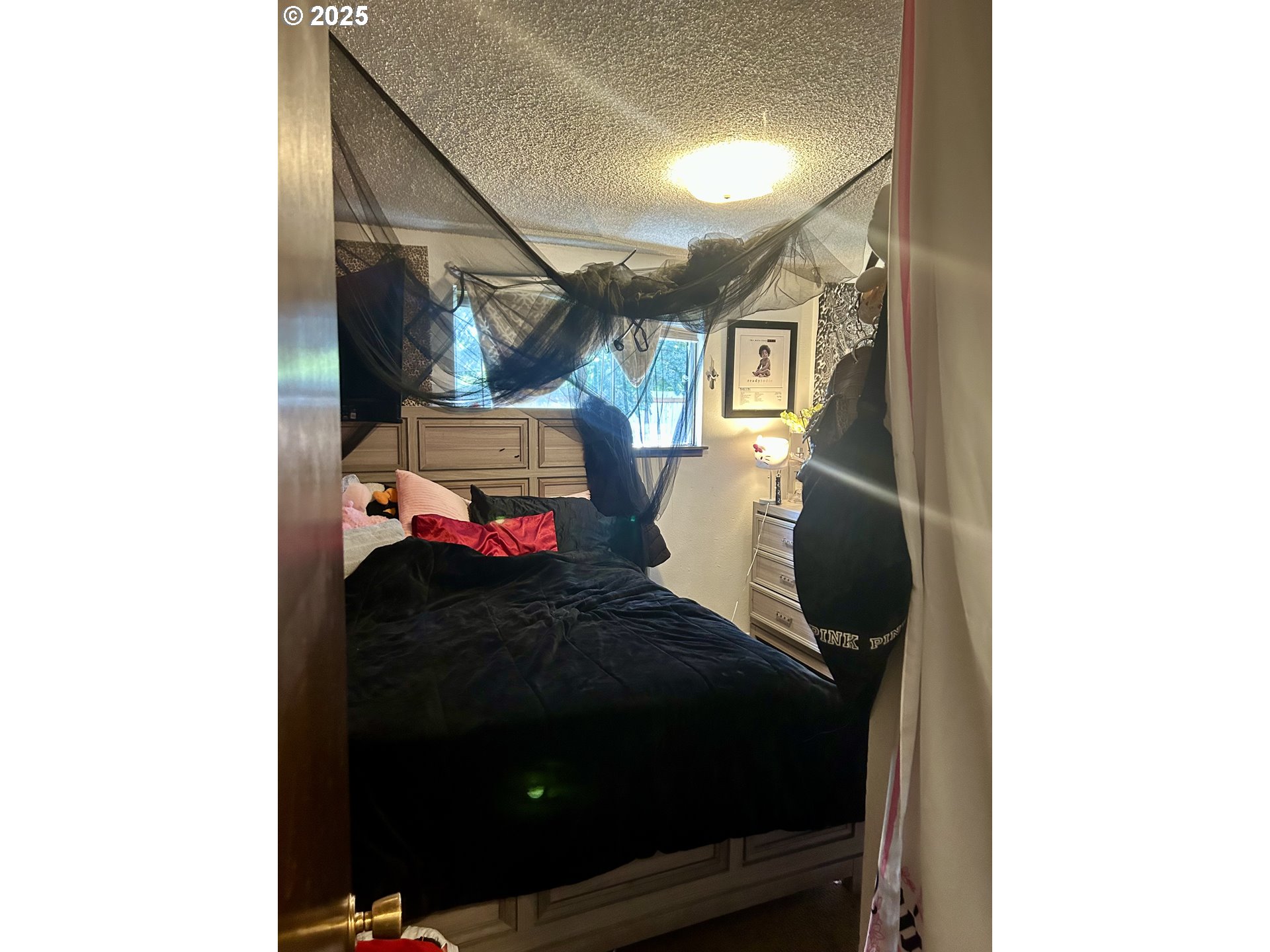 4457 Aster Street Springfield, OR 97478 - Photo 8 of 21