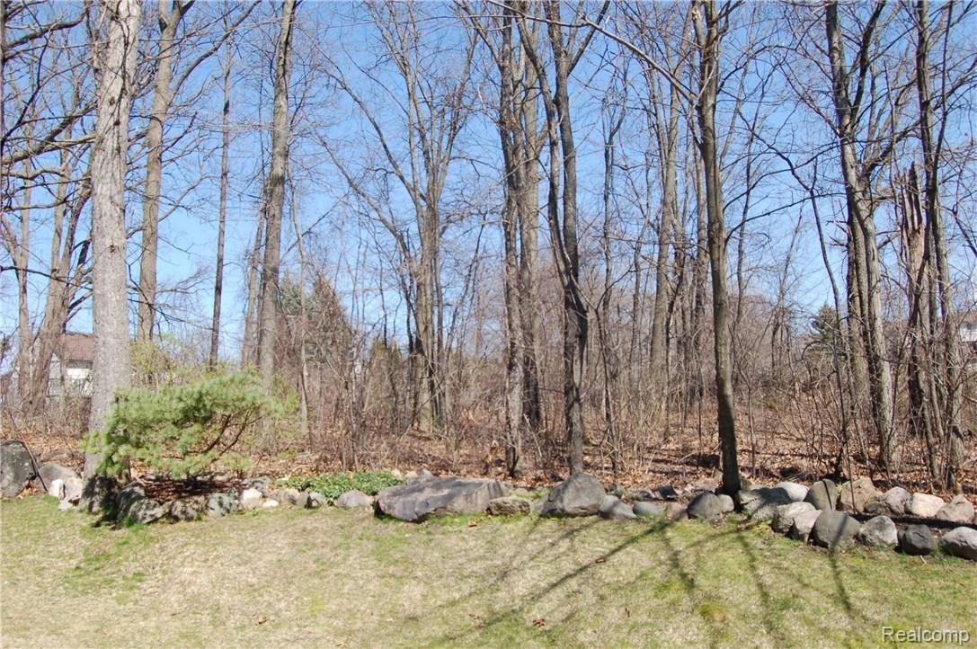 120 Chestnut Ridge Walled Lake, MI 48390 - Photo 27 of 28 Wooded rear exterior