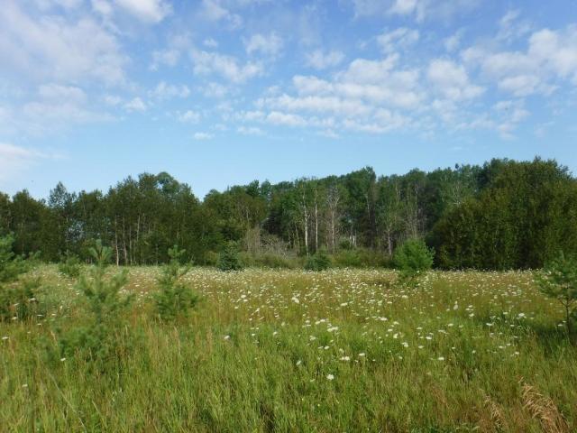 Alfalfa Road Lachine, MI 49753 - Photo 15 of 19 Gallery Image 15