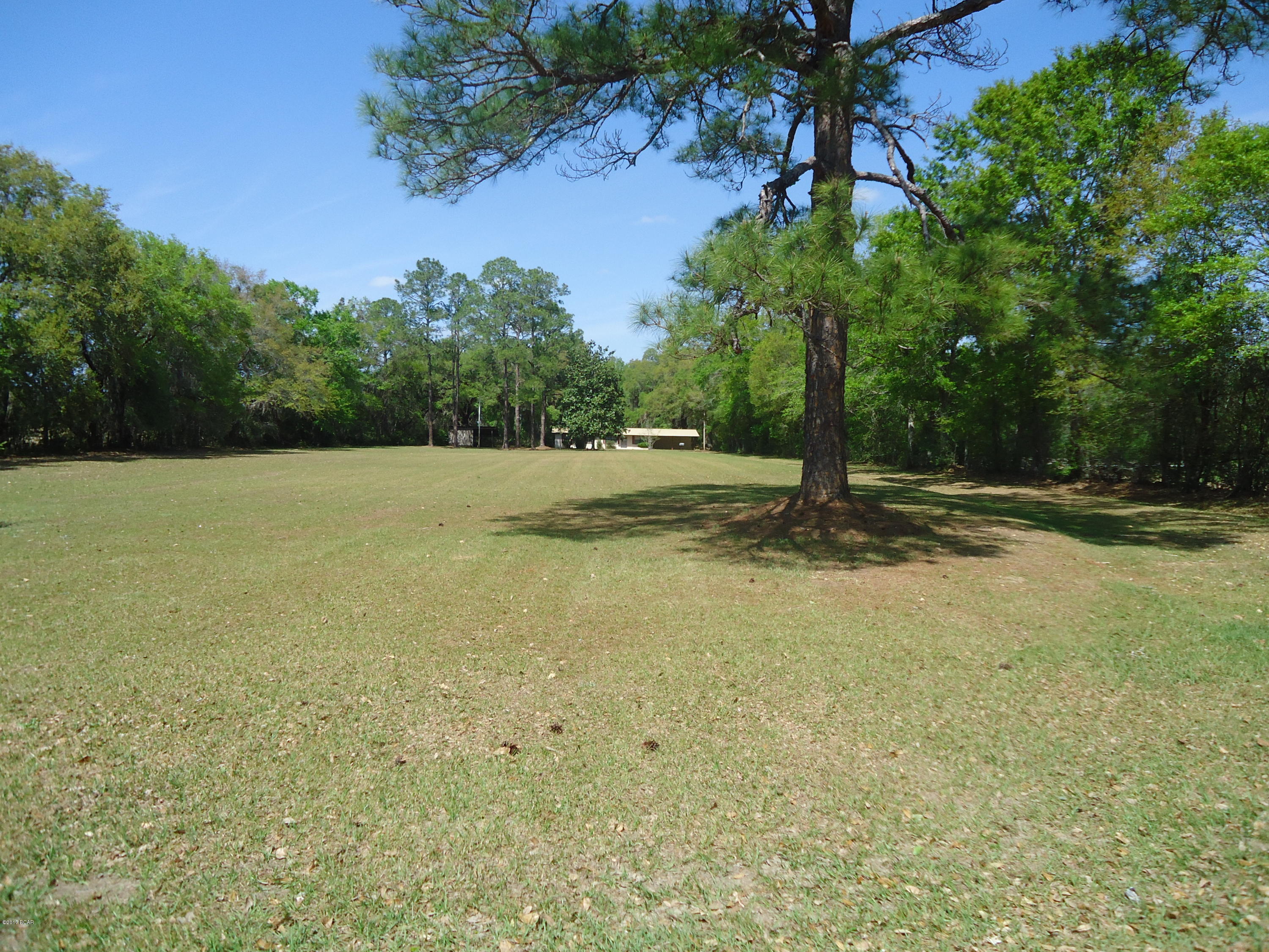 6144 Colorado Road Marianna, FL 32448 - Photo 3 of 34 Gallery Image 3