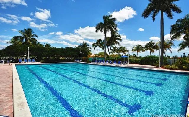 a view of a swimming pool with a garden