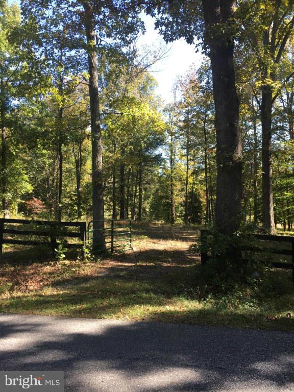 Mt Olive Road Fredericksburg, VA 22406 - Photo 3 of 9 Exterior (General)