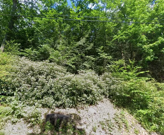$47,900 | 0 Taylor Rd Tr 111, Fallsburg, NY 12733