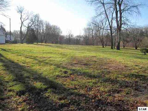 1121 Napoleon Road Jackson, MI 49201 - Photo 10 of 10 20023607-9.JPG