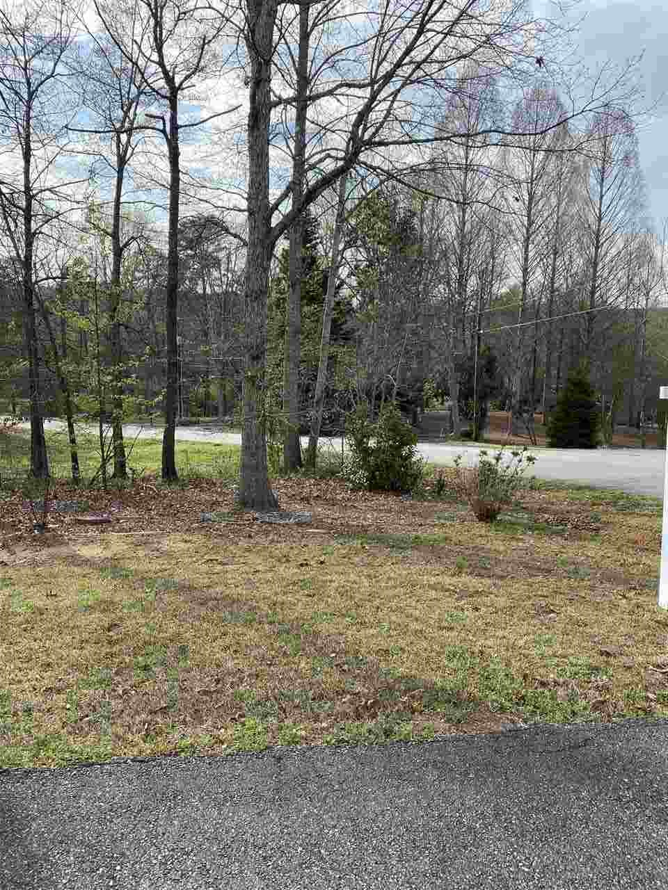111 Amber Drive Inman, SC 29349 - Photo 3 of 24