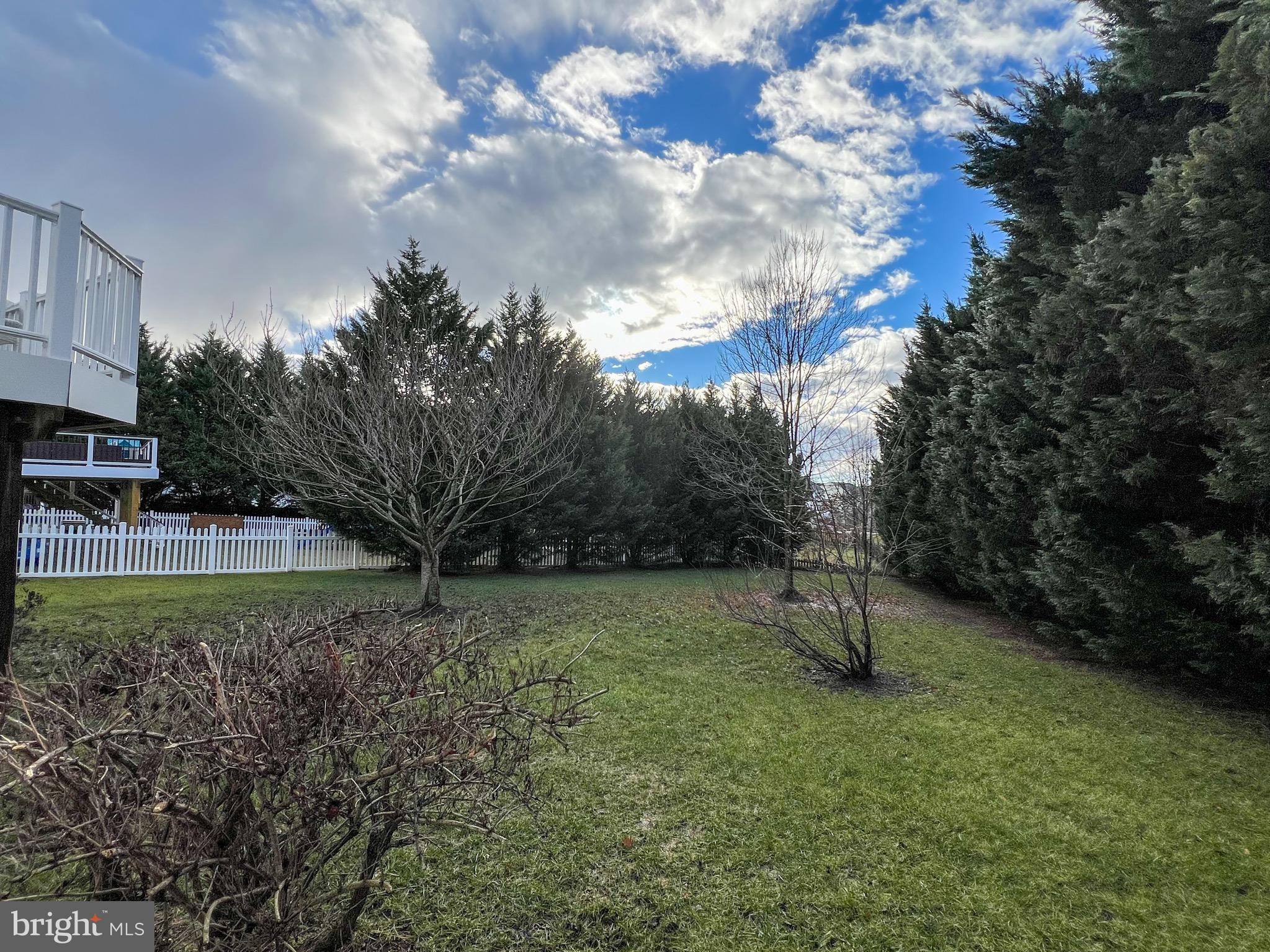 724 Holly Leaf Road Culpeper, VA 22701 - Photo 87 of 102 Gallery Image 87