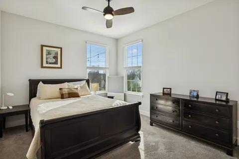 a living room with furniture and a christmas tree