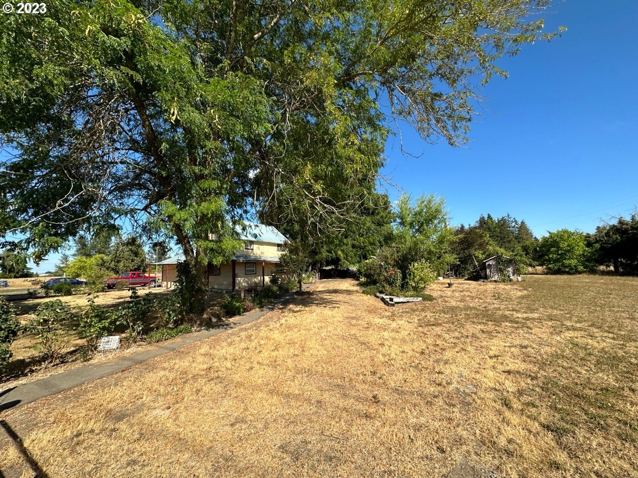 18936 Butteville Road Northeast Aurora, OR 97002 - Photo 7 of 9 a view of a yard with a tree