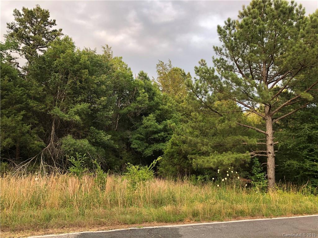 Lot 6 Shirley Road Fort Lawn, SC 29714 - Photo 5 of 10 Gallery Image 5