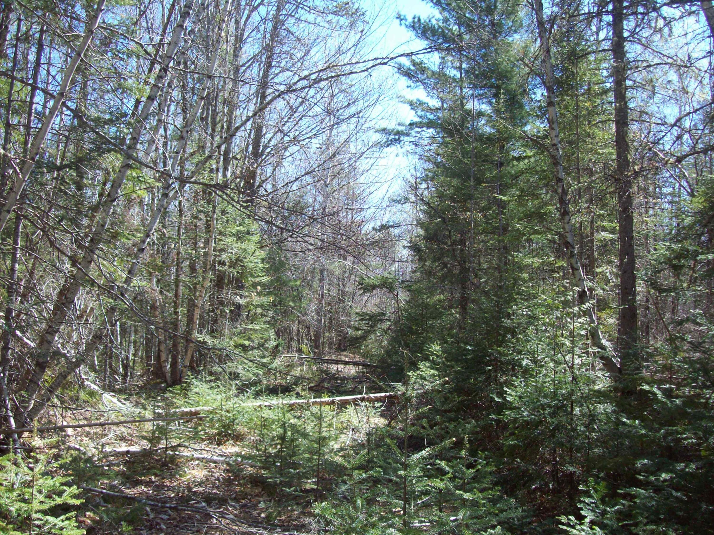 Tbd Tbd Off Mallet's Mill Road Lee, ME 04455 - Photo 7 of 17 100_2737