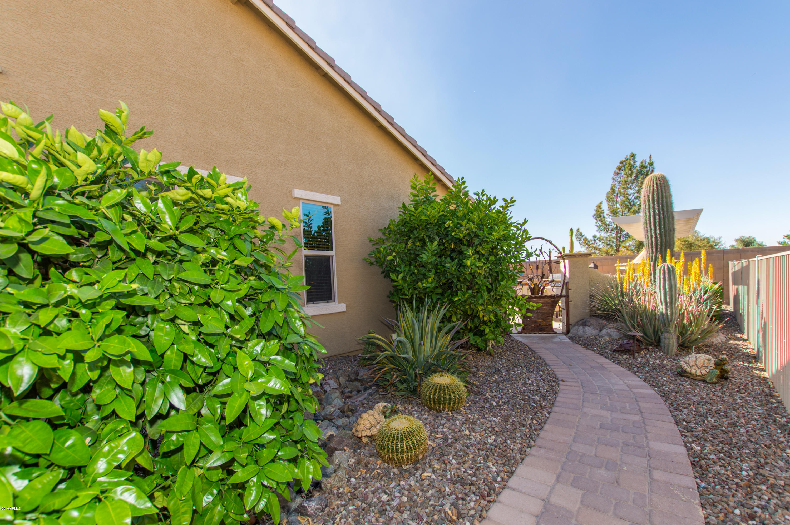 42064 West Rummy Road Maricopa, AZ 85138 - Photo 31 of 33 31 Side Yard