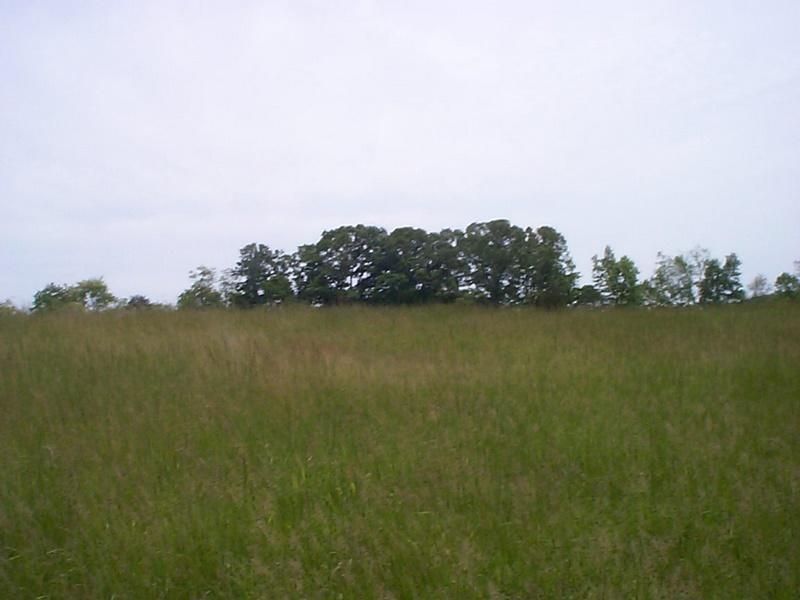 Lot 9 Bramlett Road Moneta, VA 24121 - Photo 8 of 9 lot 9 6
