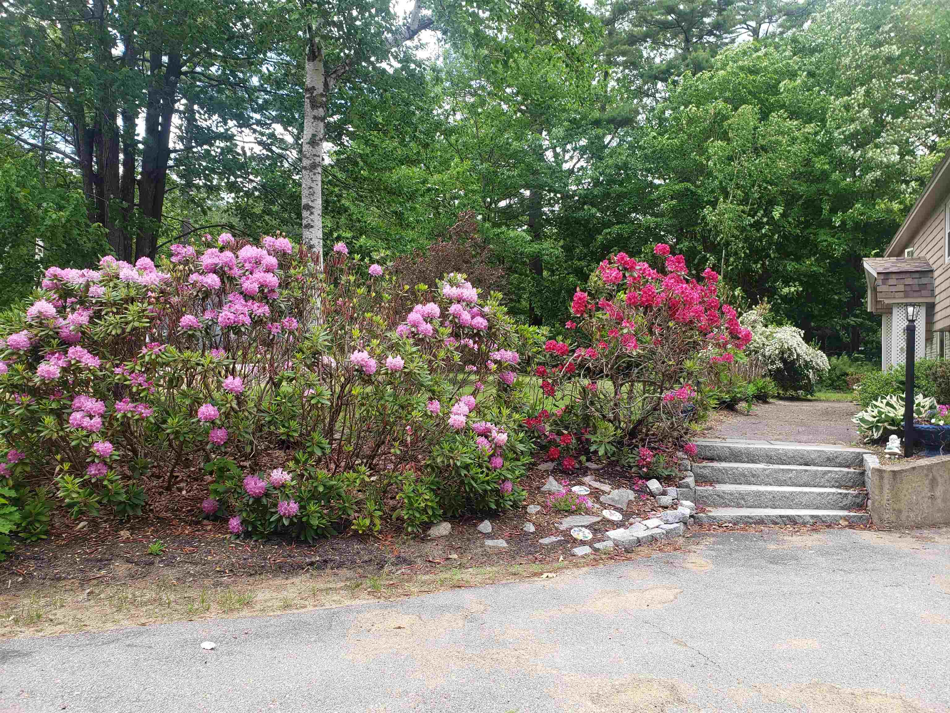 107 Ridgewood Drive Gilmanton, NH 03237 - Photo 18 of 51