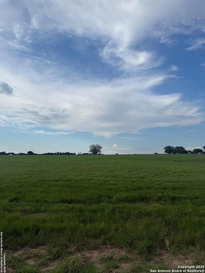 12885 La Vernia Road St. Hedwig, TX 78152 - Photo 15 of 22 a view of a big yard with a large tree