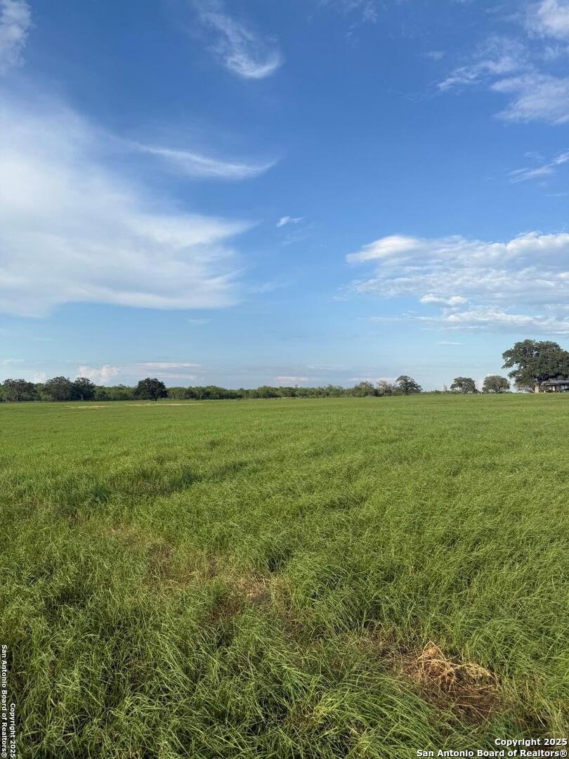12885 La Vernia Road St. Hedwig, TX 78152 - Photo 19 of 22 a view of yard with ocean