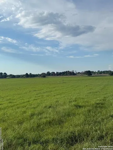 a view of a field with an ocean