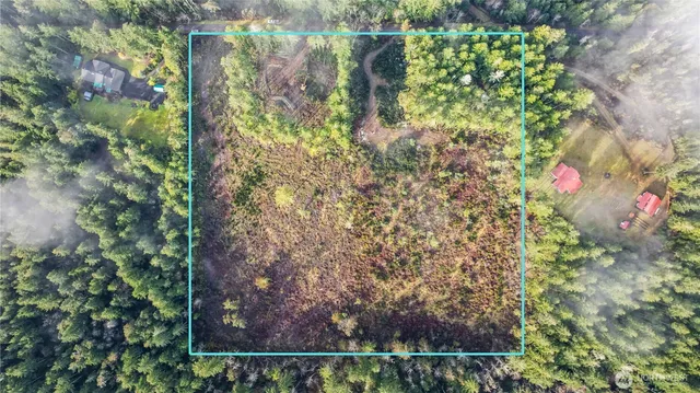 a view of flowers and tree