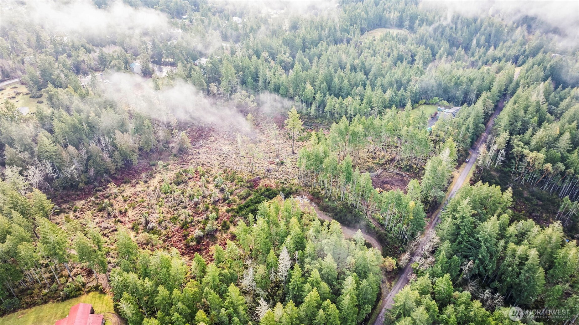 1809 208th Avenue Southwest Lakebay, WA 98349 - Photo 13 of 22 a picture of trees