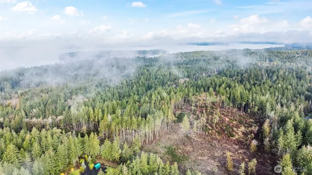 a view of a green field with lots of bushes