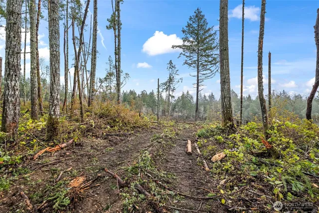 a view of a city with flower plants